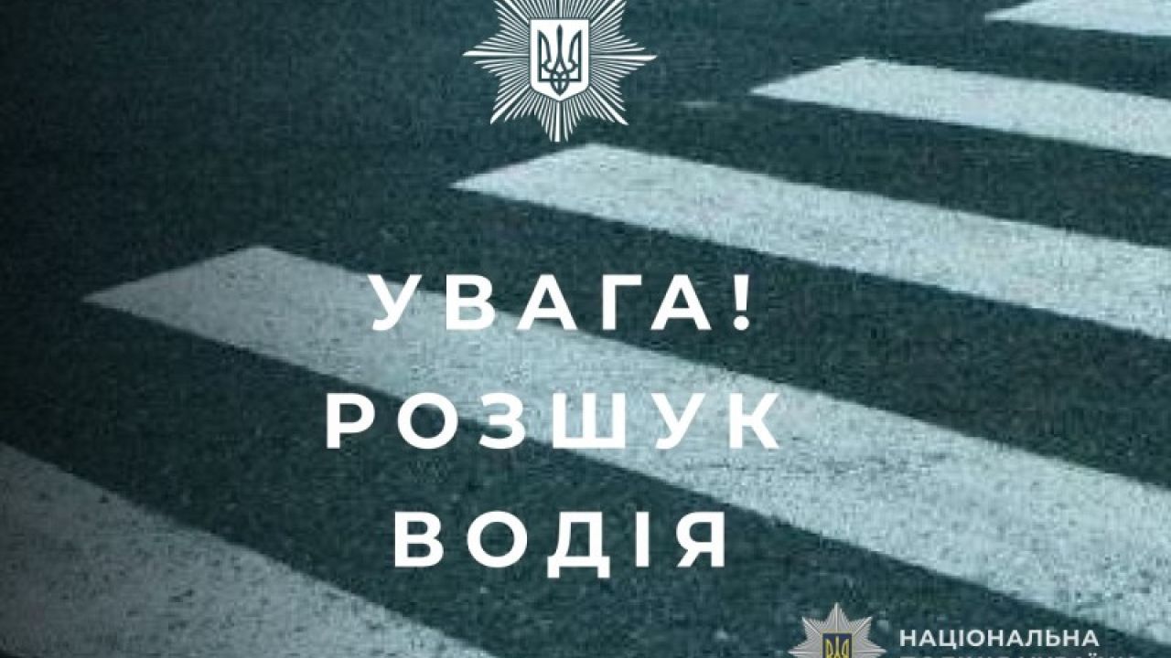 Фото до новини