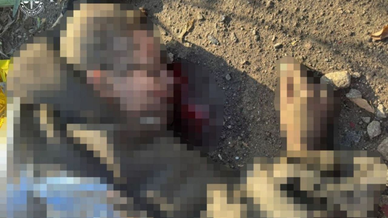 Фото до новини