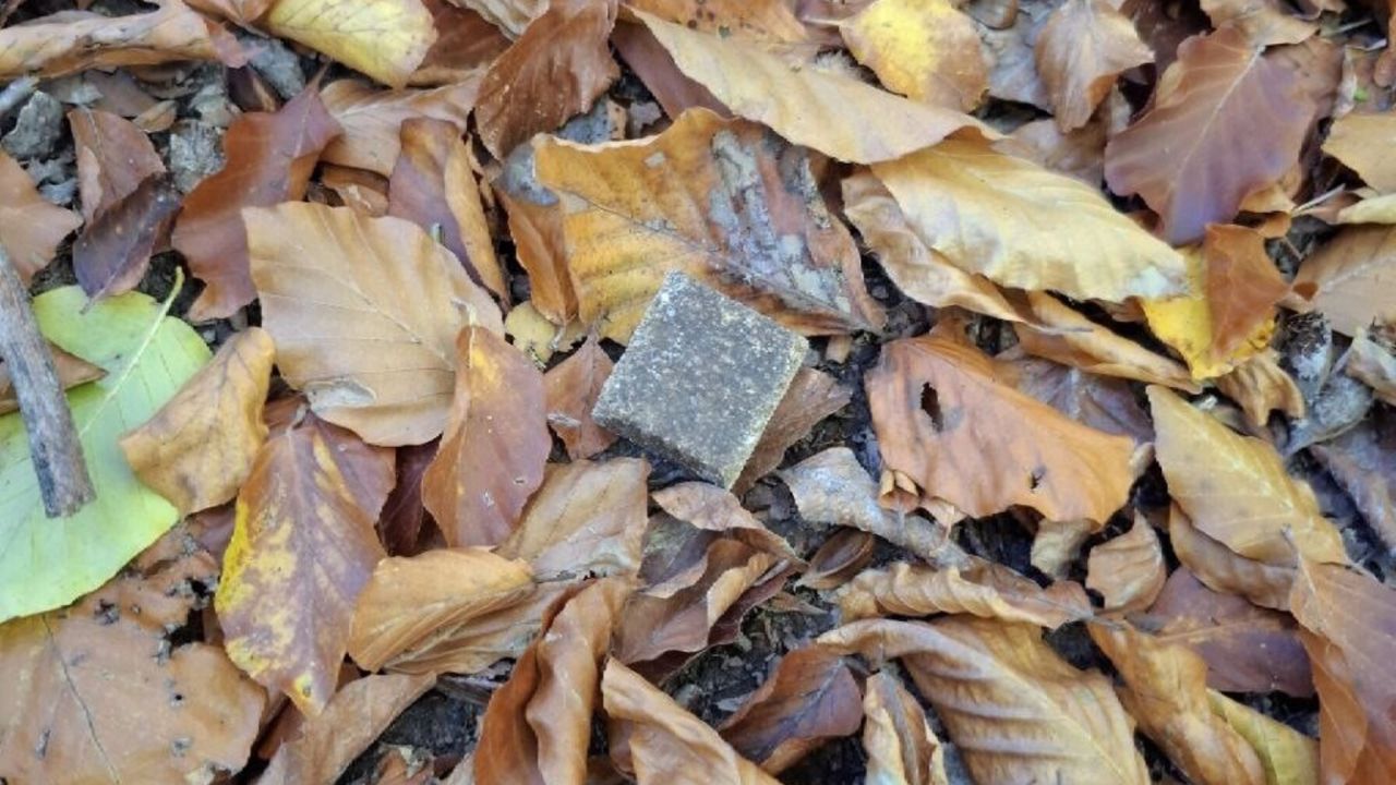 Фото до новини