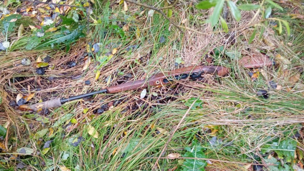 Фото до новини