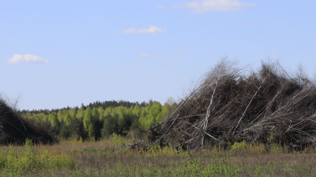 Фото до новини