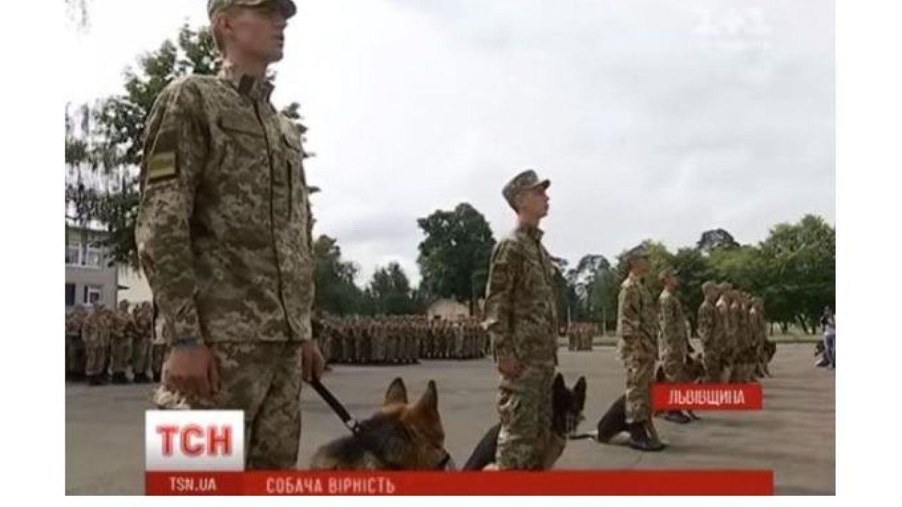 Фото до новини