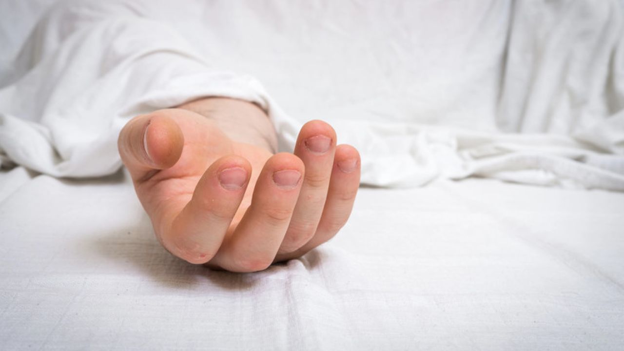 Фото до новини