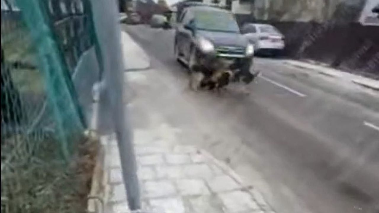 Фото до новини