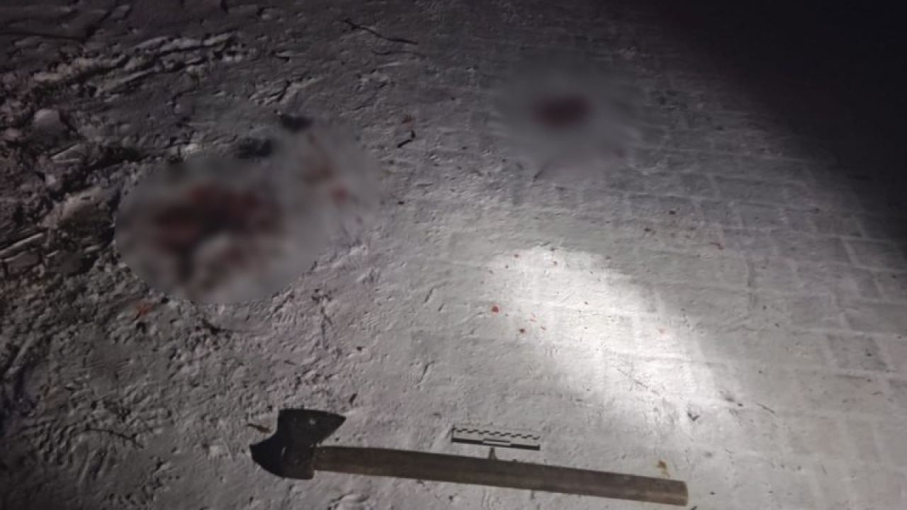 Фото до новини