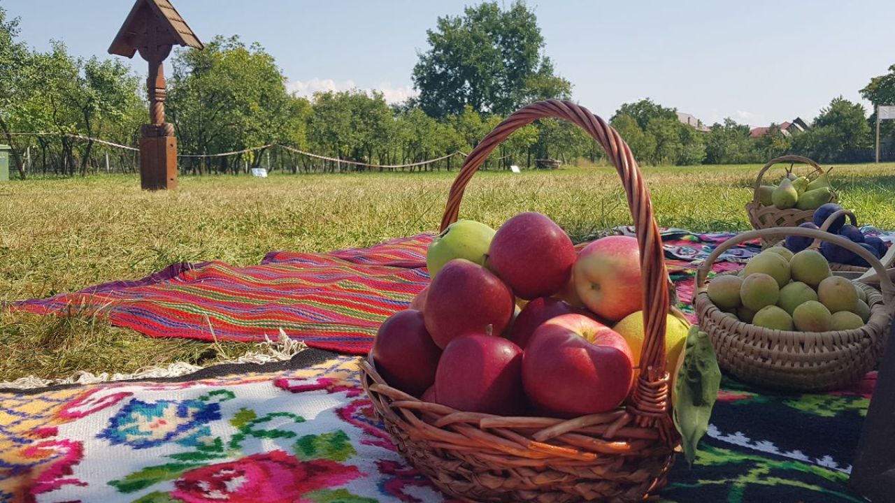 Фото до новини