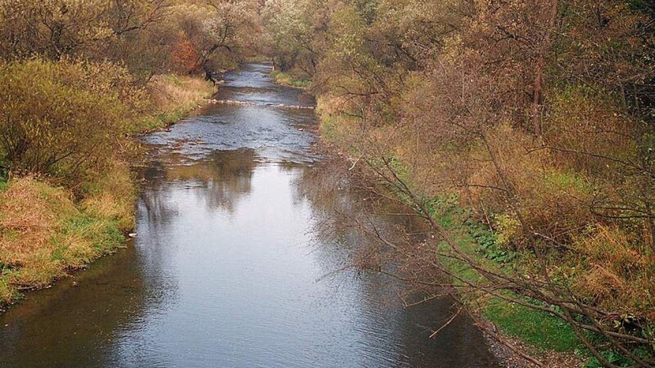Фото до новини