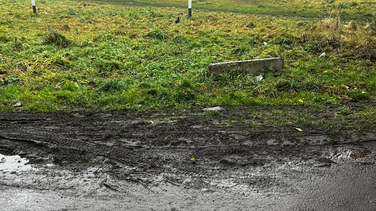 Фото до новини