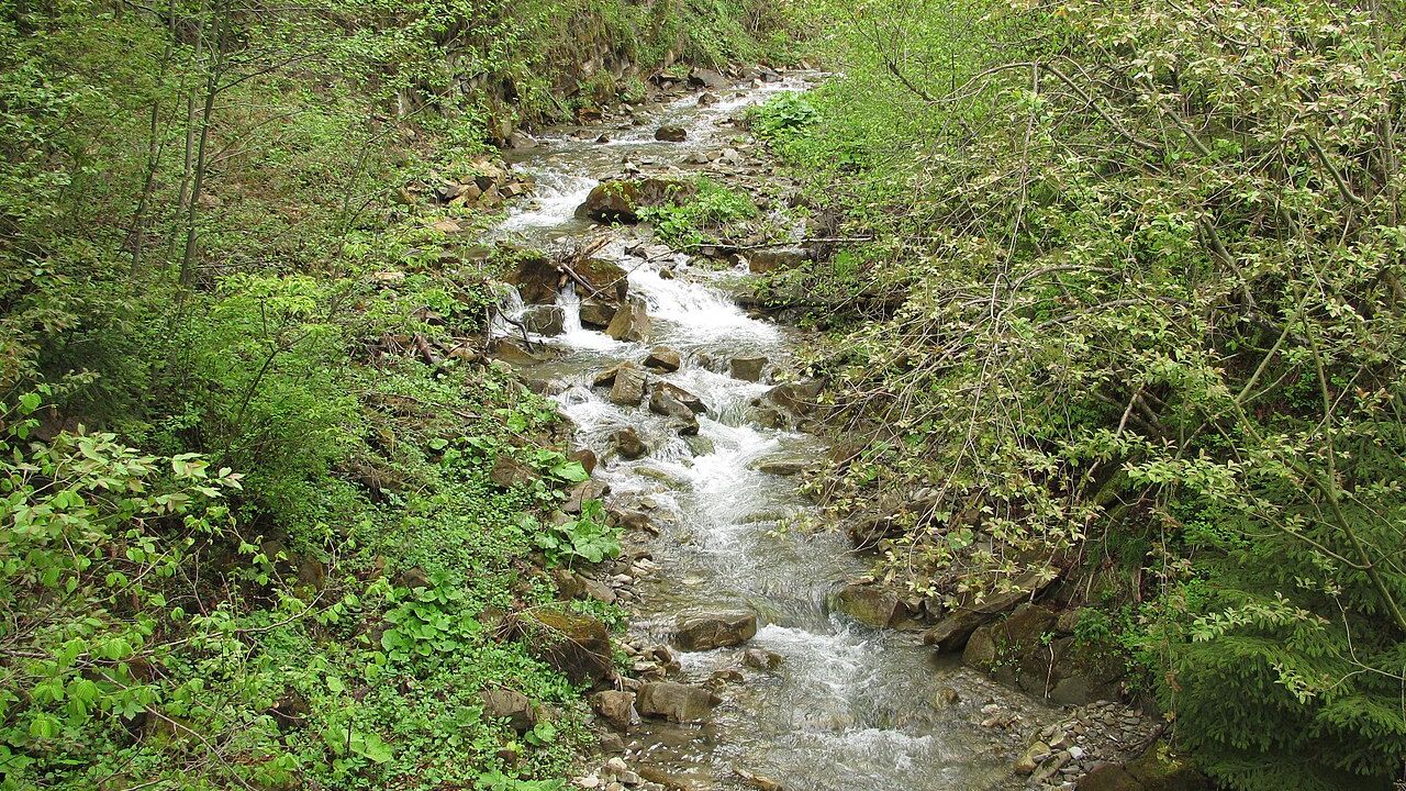 Фото до новини