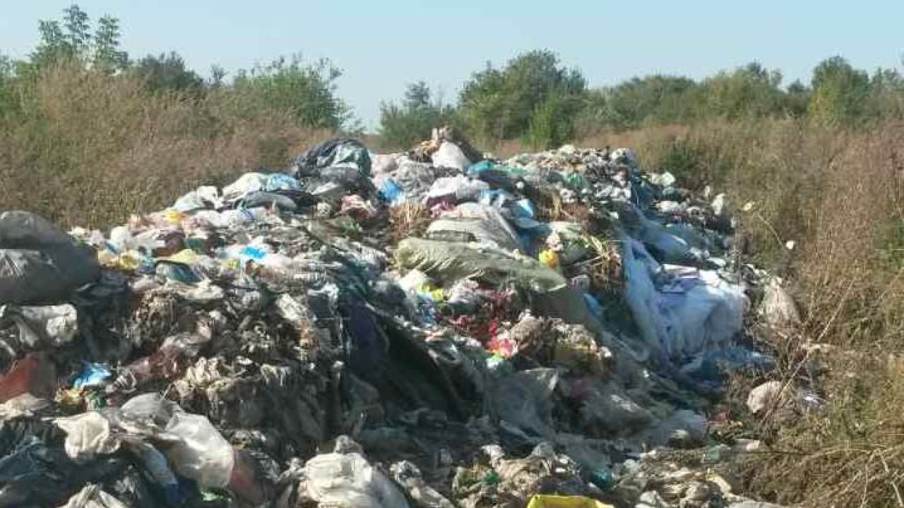 Фото до новини