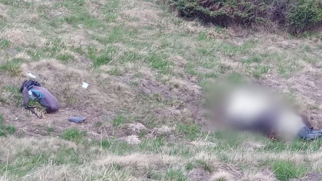 Фото до новини