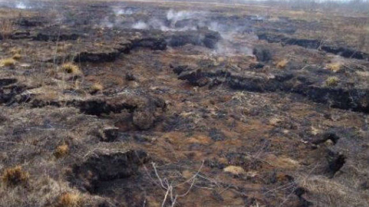 Фото до новини