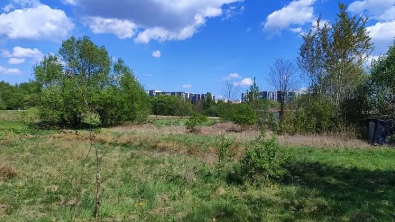 Фото до новини