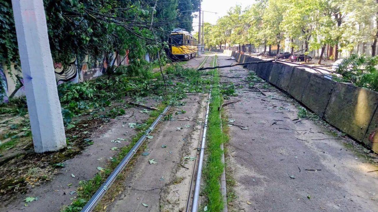 Фото до новини