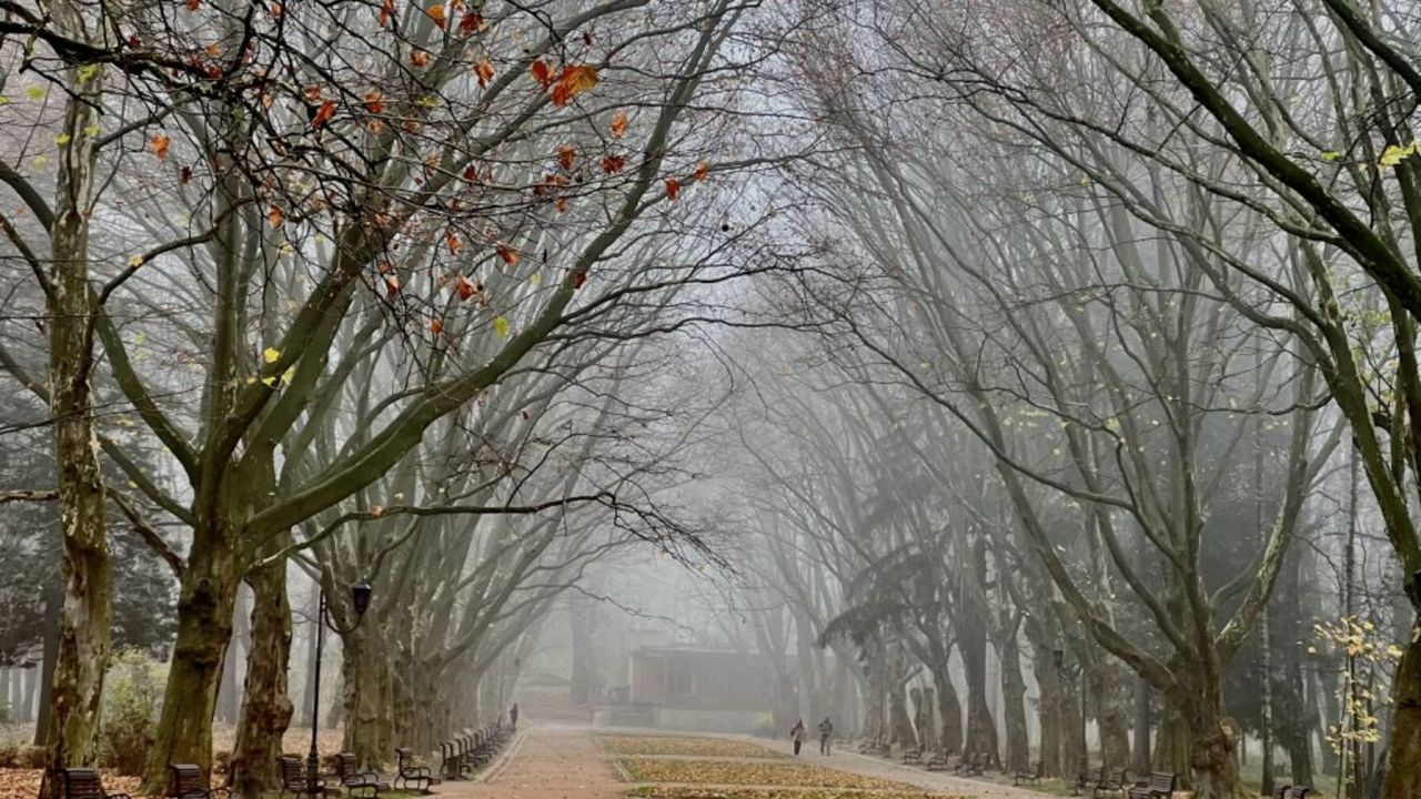 Фото до новини