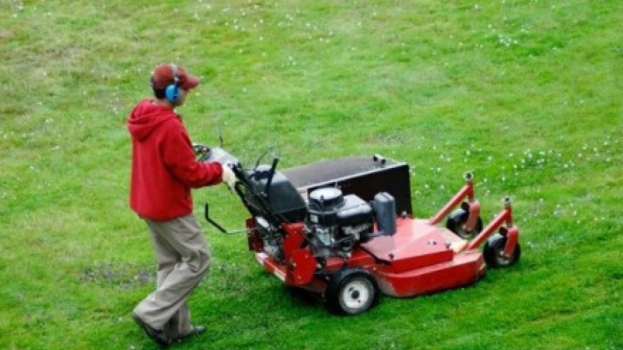 Фото до новини