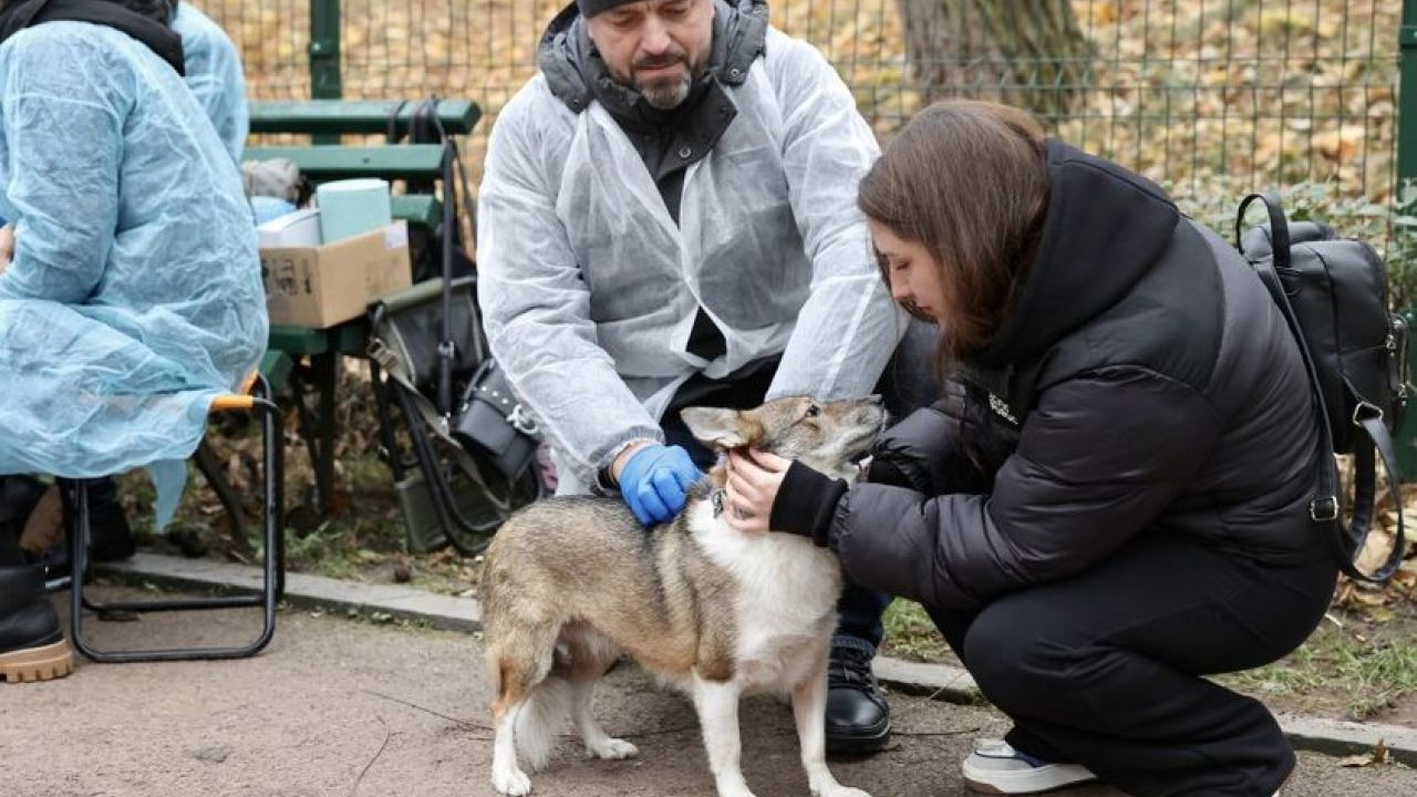 Фото до новини