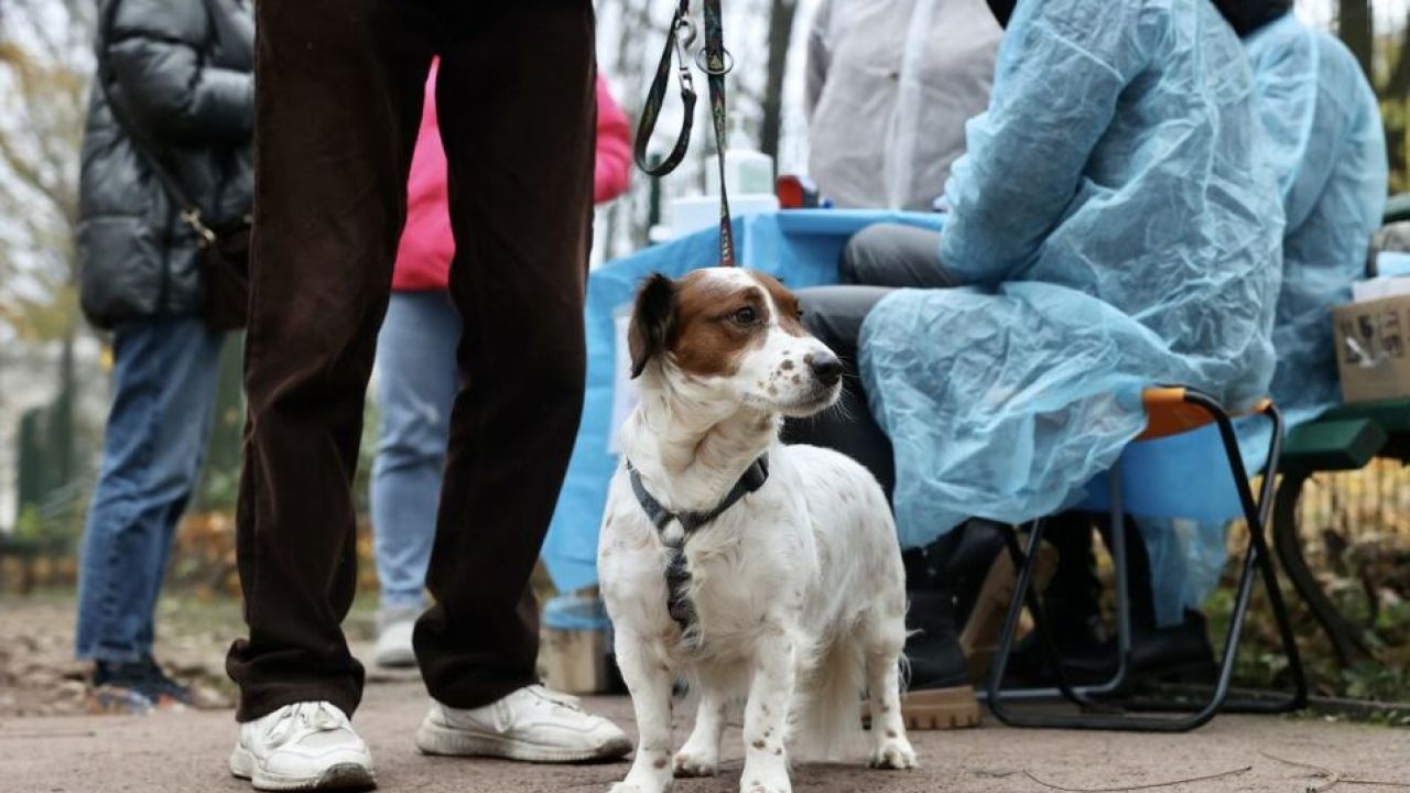 Фото до новини