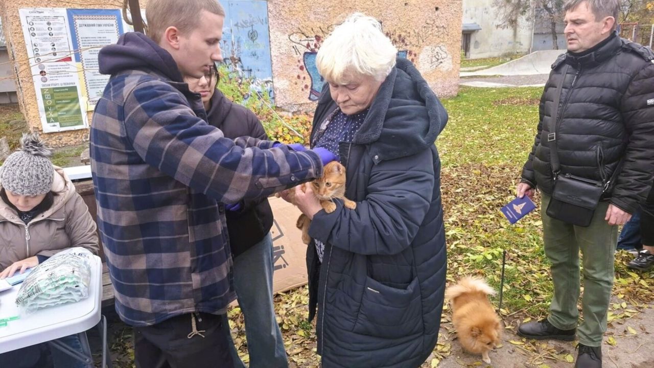 Фото до новини