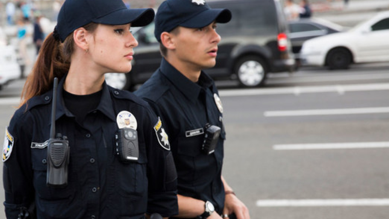 Світлина ілюстративна