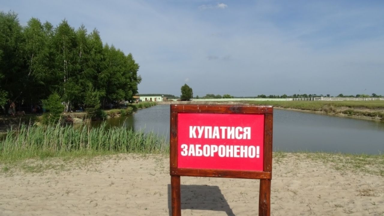 Фото до новини