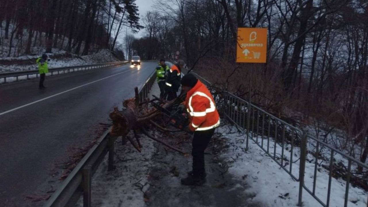 Фото до новини