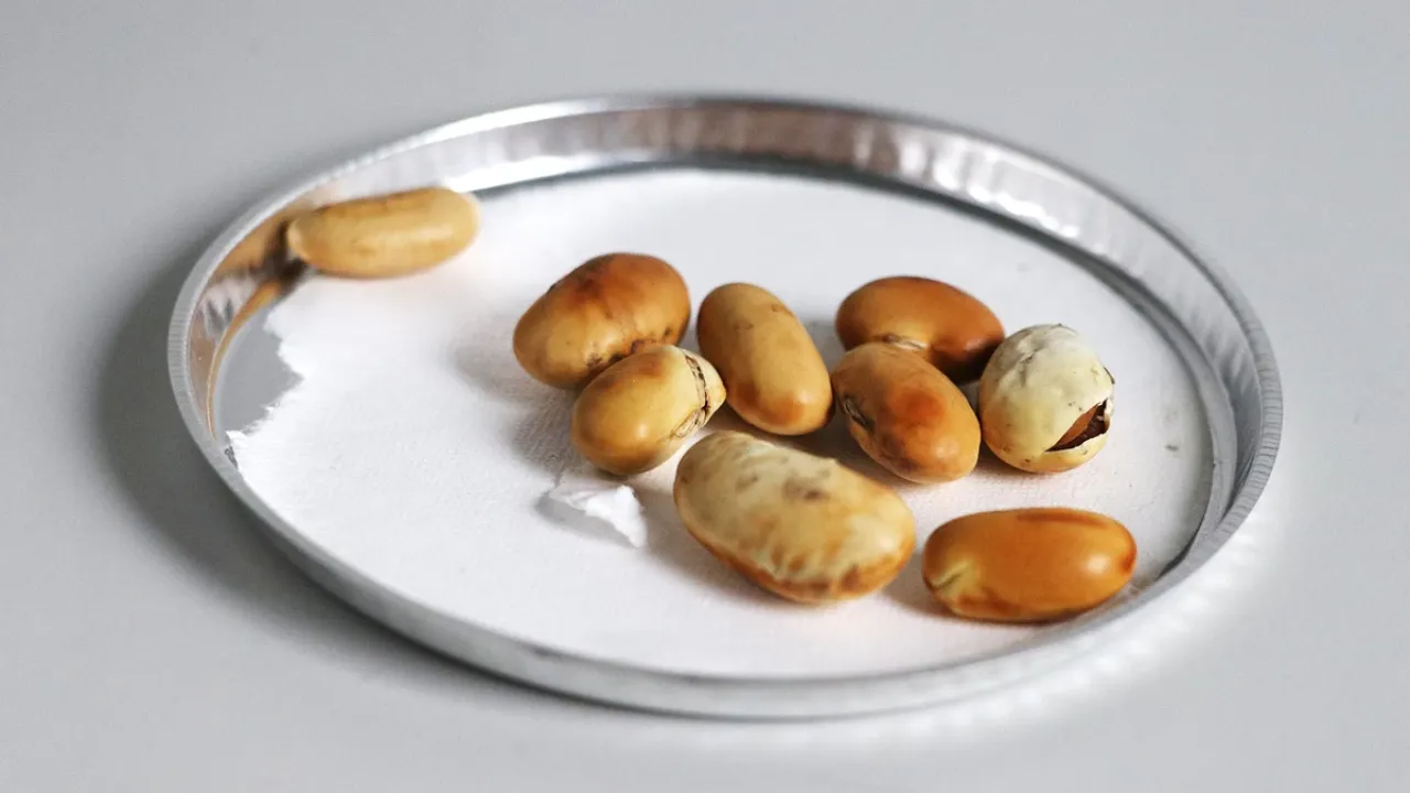 Фото до новини