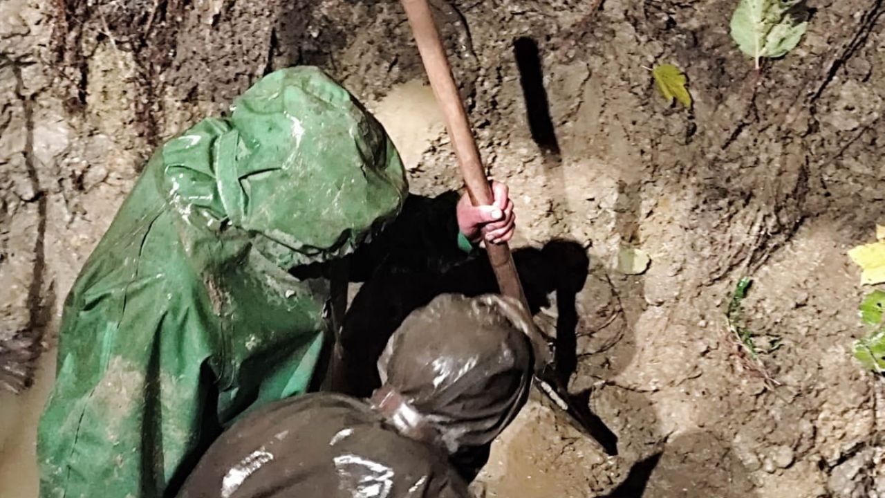 Фото до новини