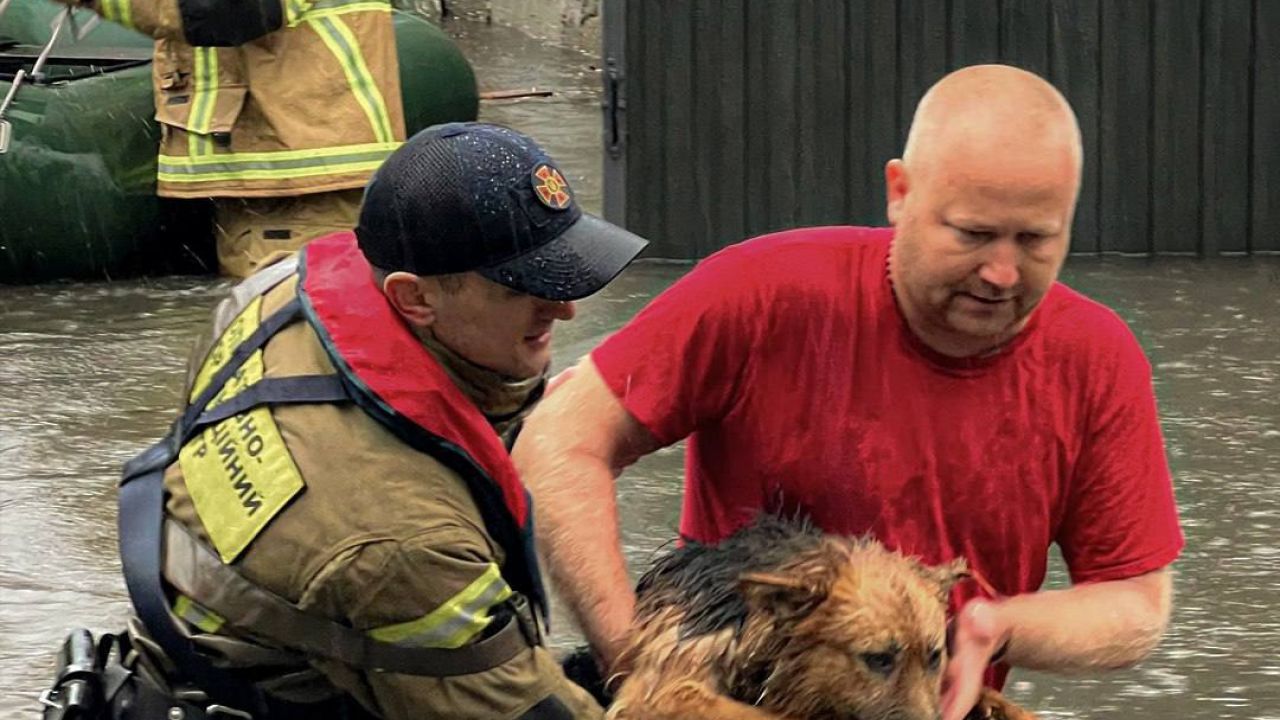 Фото до новини