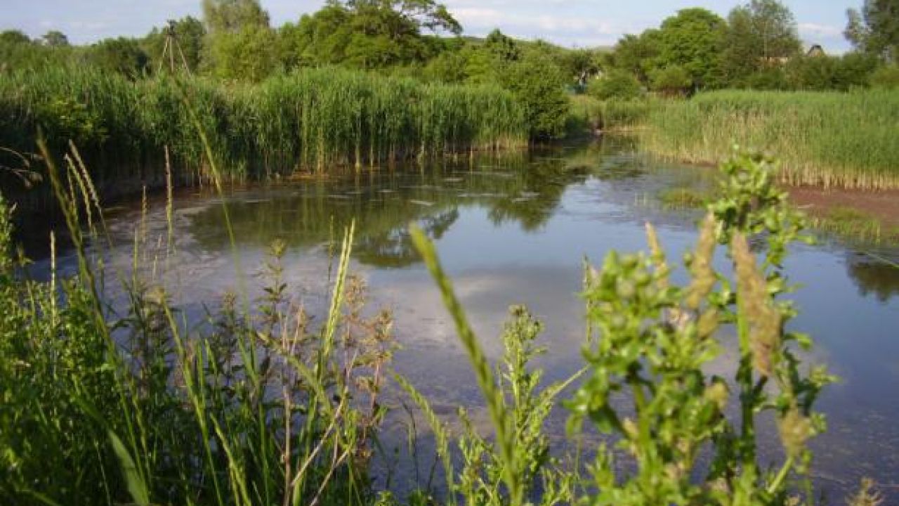 Фото до новини