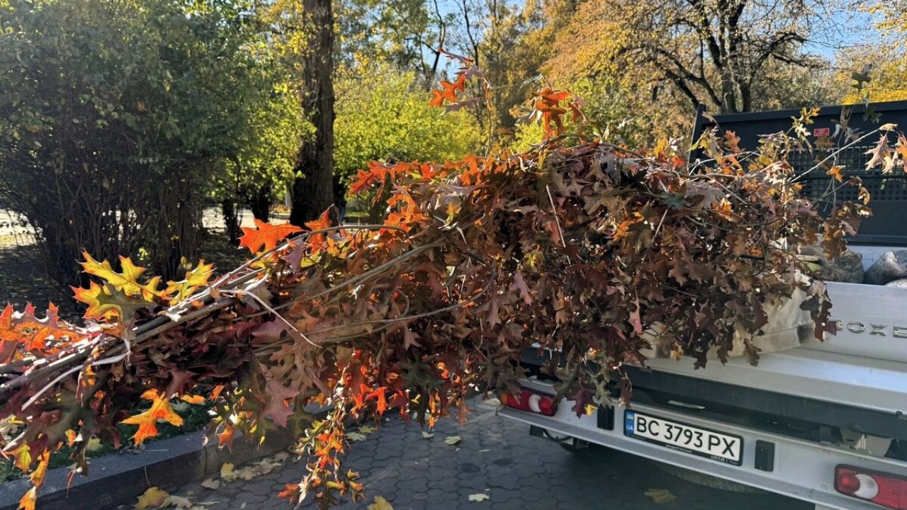 Фото до новини