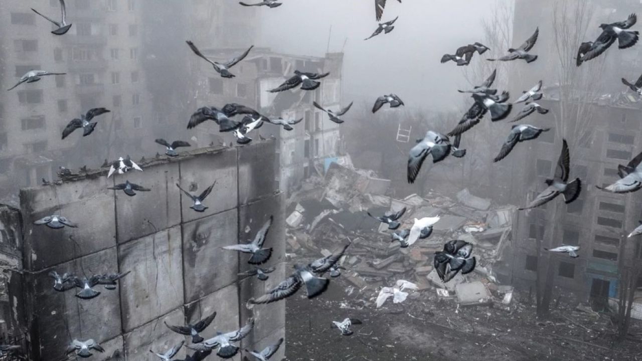 Фото до новини