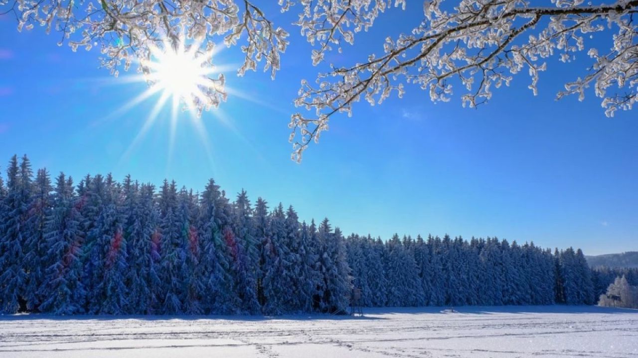 Фото до новини