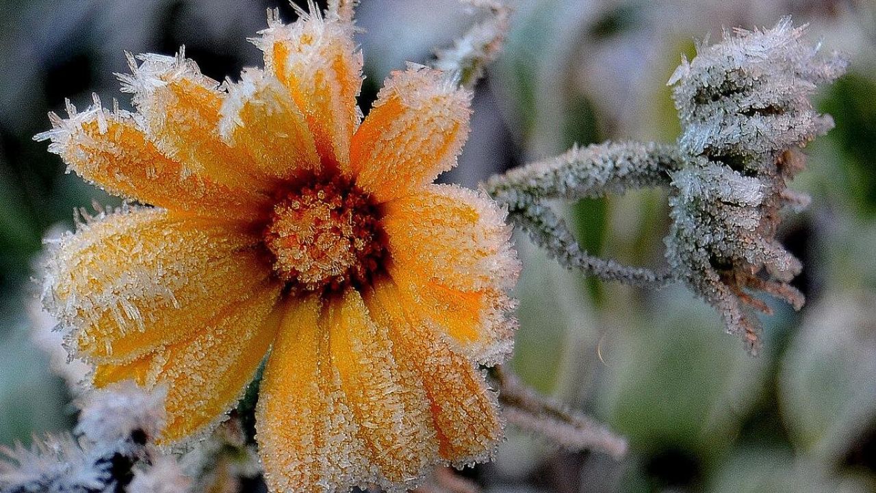 Фото до новини