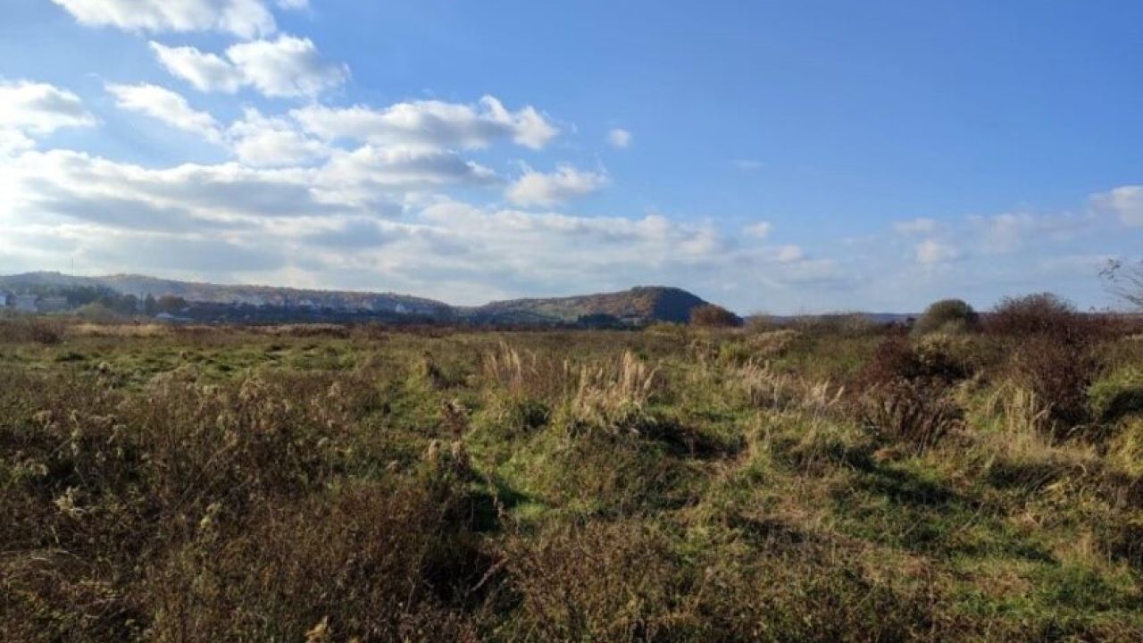 Фото до новини