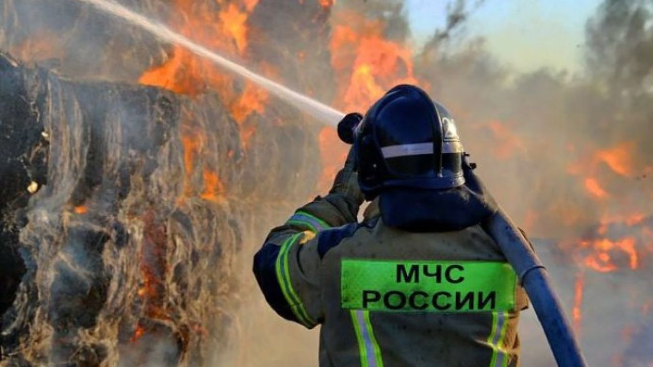 Фото до новини