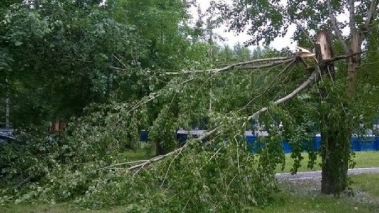 Фото до новини