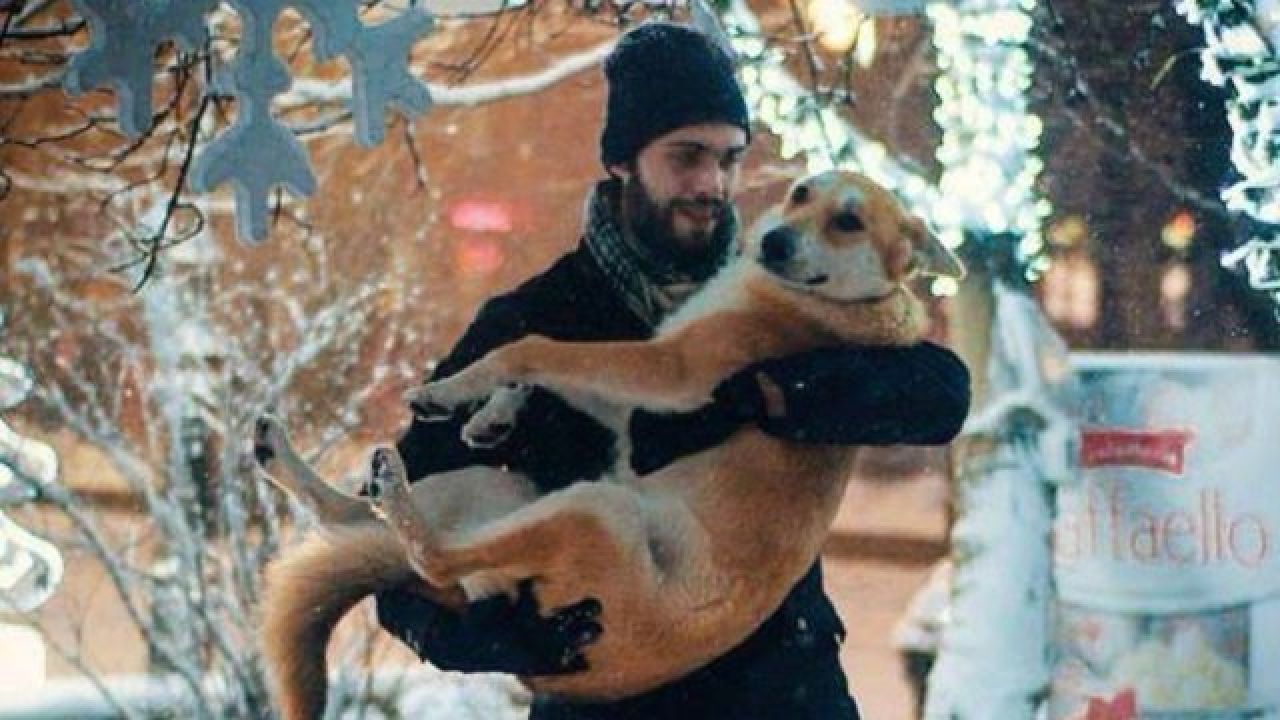 Фото до новини