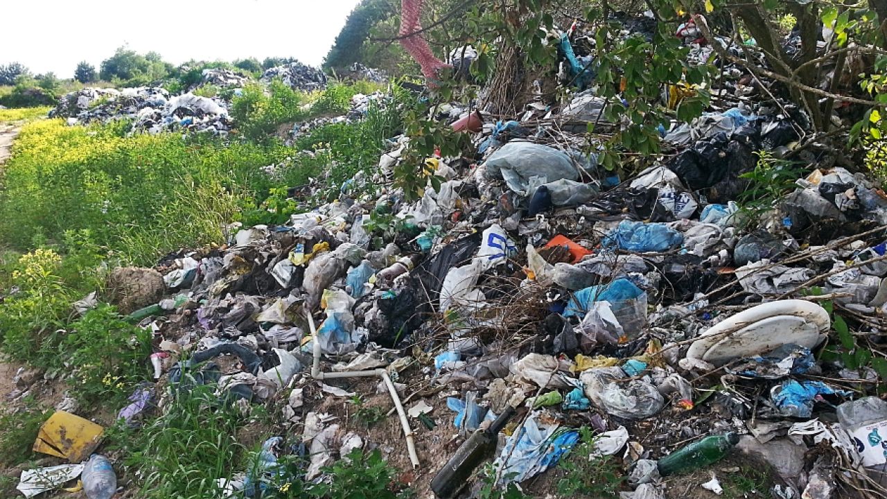 Несанкціоноване сміттєзвалище в Городку