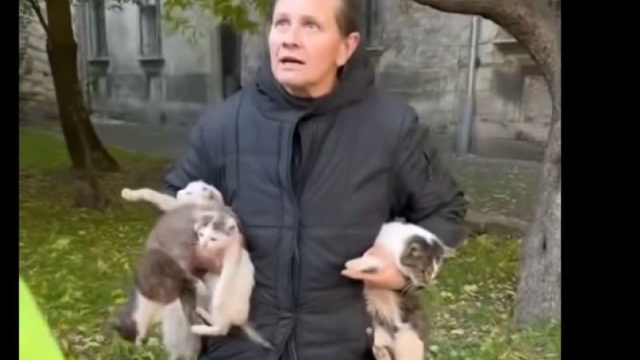 Фото до новини