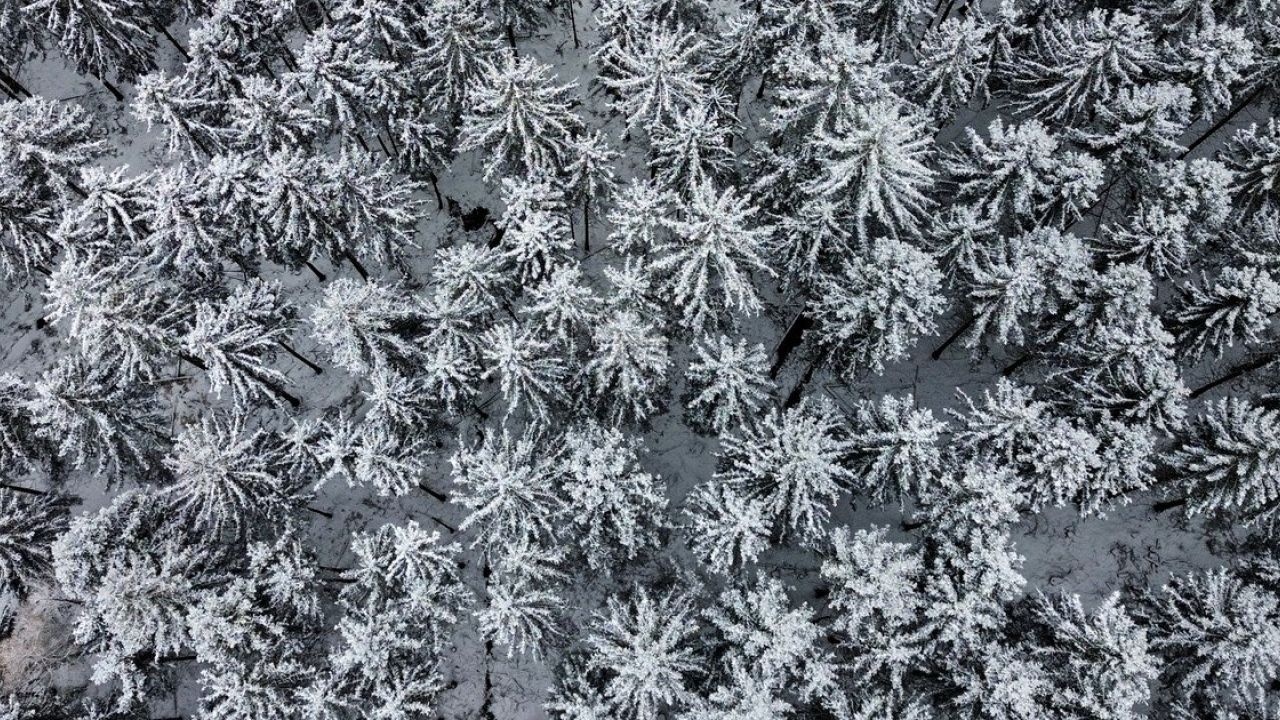 Фото до новини