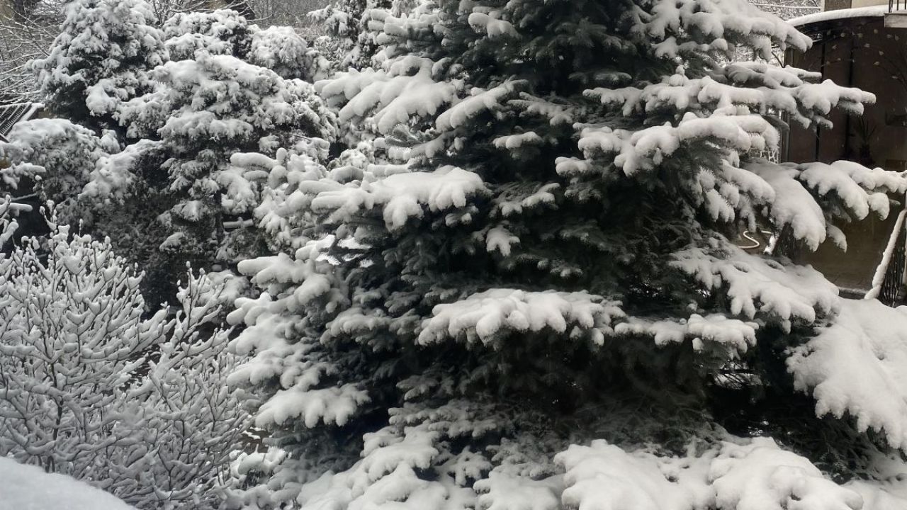 Фото до новини