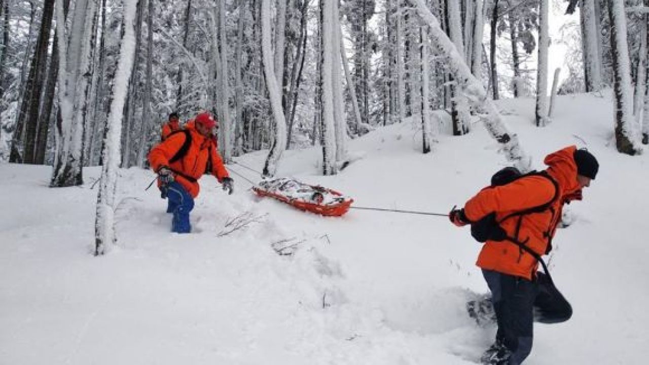 Фото до новини