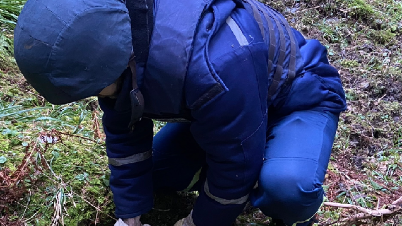 Фото до новини