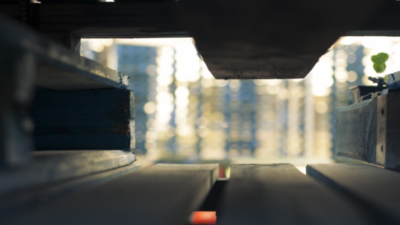 Фото до новини