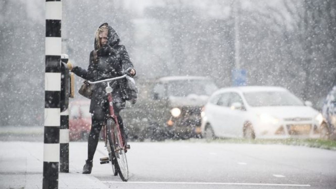 Фото до новини