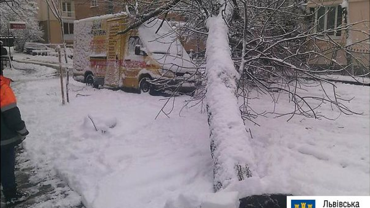 Фото до новини