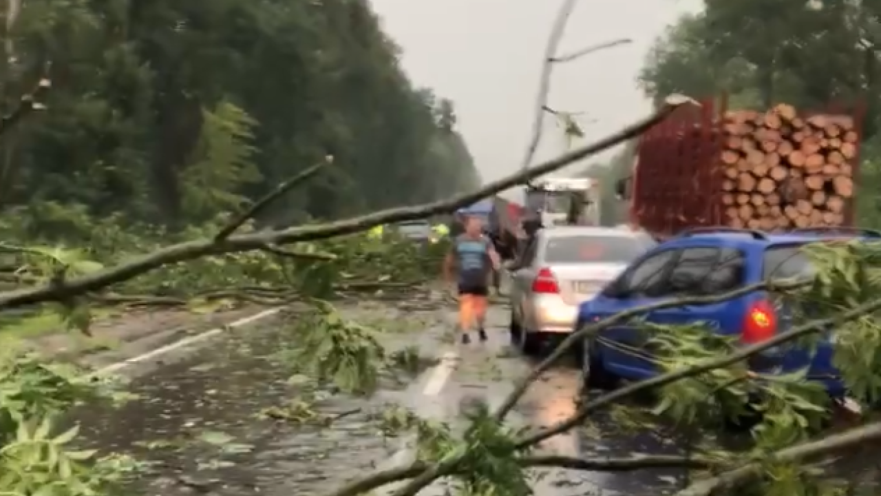 Фото до новини