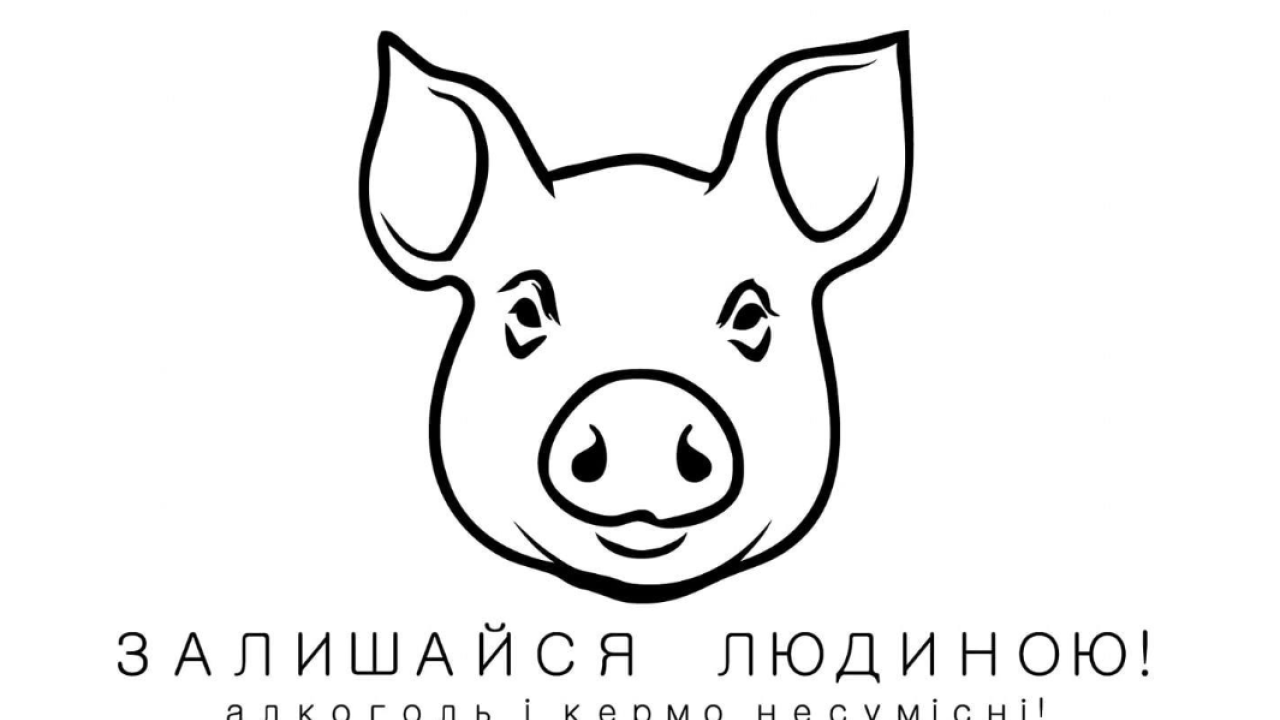 Фото до новини