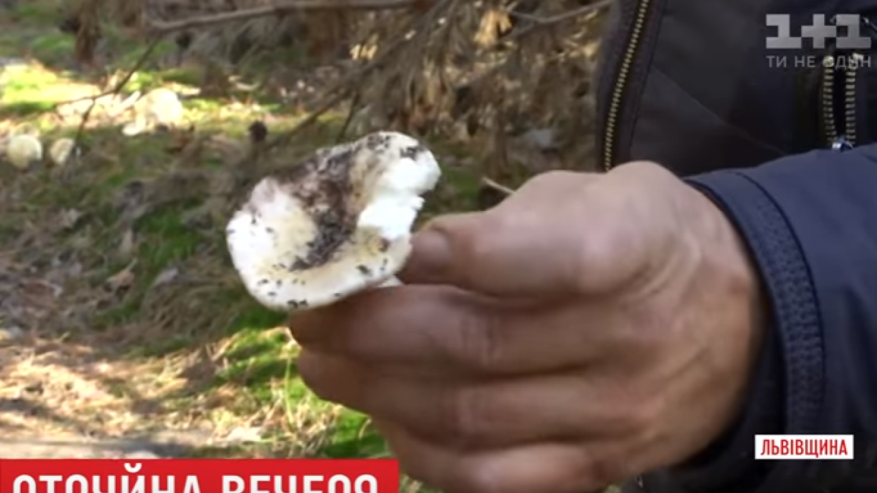 Фото до новини